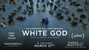 WHITE GOD